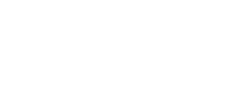 Spybee